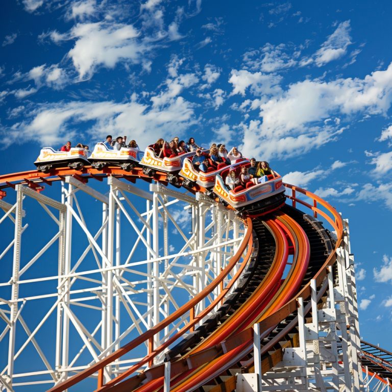 discuss-safety-regulations-place-modern-amusement-parks